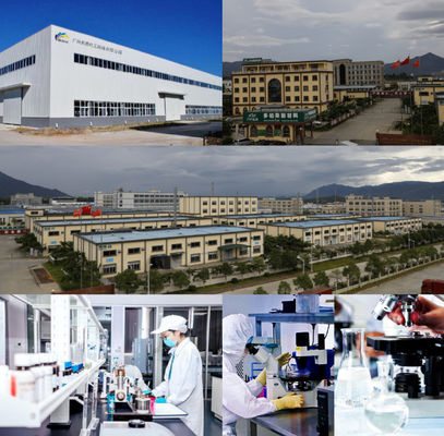 2K Orange Car Paint Top Coat Schnelle Trocknungsgeschwindigkeit und verbesserte Effizienz